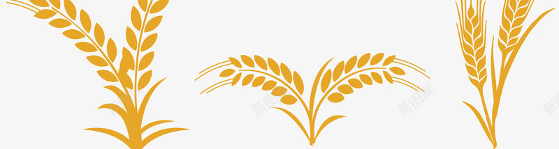 彩绘小麦矢量图eps免抠素材_88icon https://88icon.com 创意 小麦 彩绘 特色 集合 食物 黄色 矢量图
