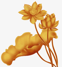 金色中国风莲花装饰图案素材