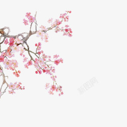 桃花源中国风水墨桃花树高清图片
