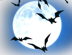 蓝色月亮蝙蝠素材