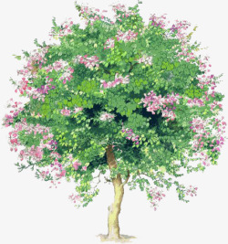 手绘夏季粉色花朵大树素材