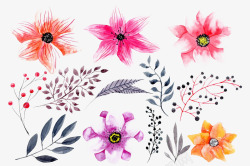 各种好看的花朵素材