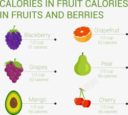 水果和浆果卡路里热量分析矢量图素材