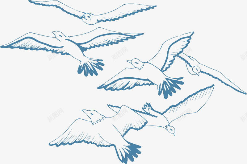 卡通飞鸟png免抠素材_88icon https://88icon.com 天空 手绘鸟 海洋 海鸥 蓝色鸟 飞翔 鸟