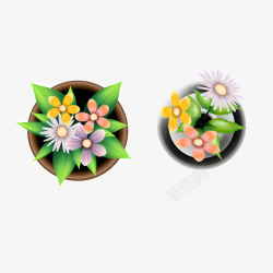 俯瞰盆栽花朵素材