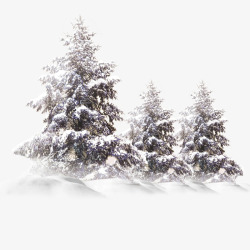 二十四节气之小雪白雪的树装饰图素材