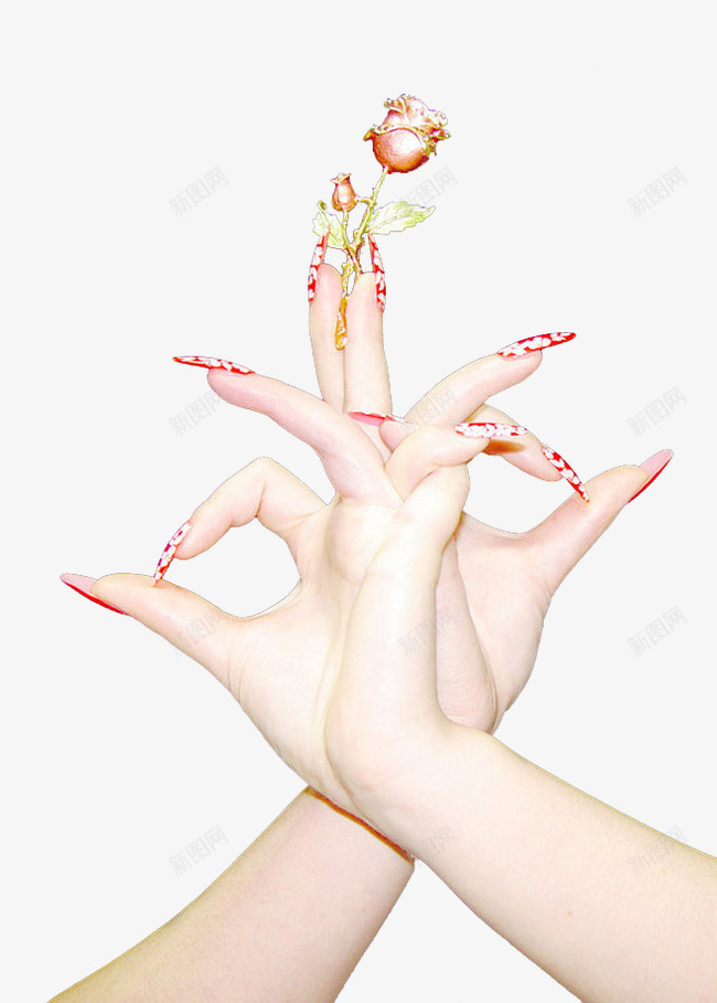 手拿玫瑰png免抠素材_88icon https://88icon.com 手势 护手霜 玫瑰花 美手 美甲 美甲图