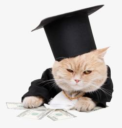 可爱小猫先生素材