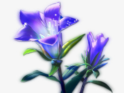 蓝紫色梦幻百合花素材