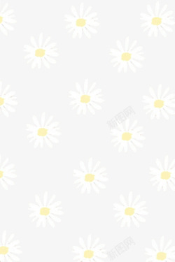 白色菊花背景图素材