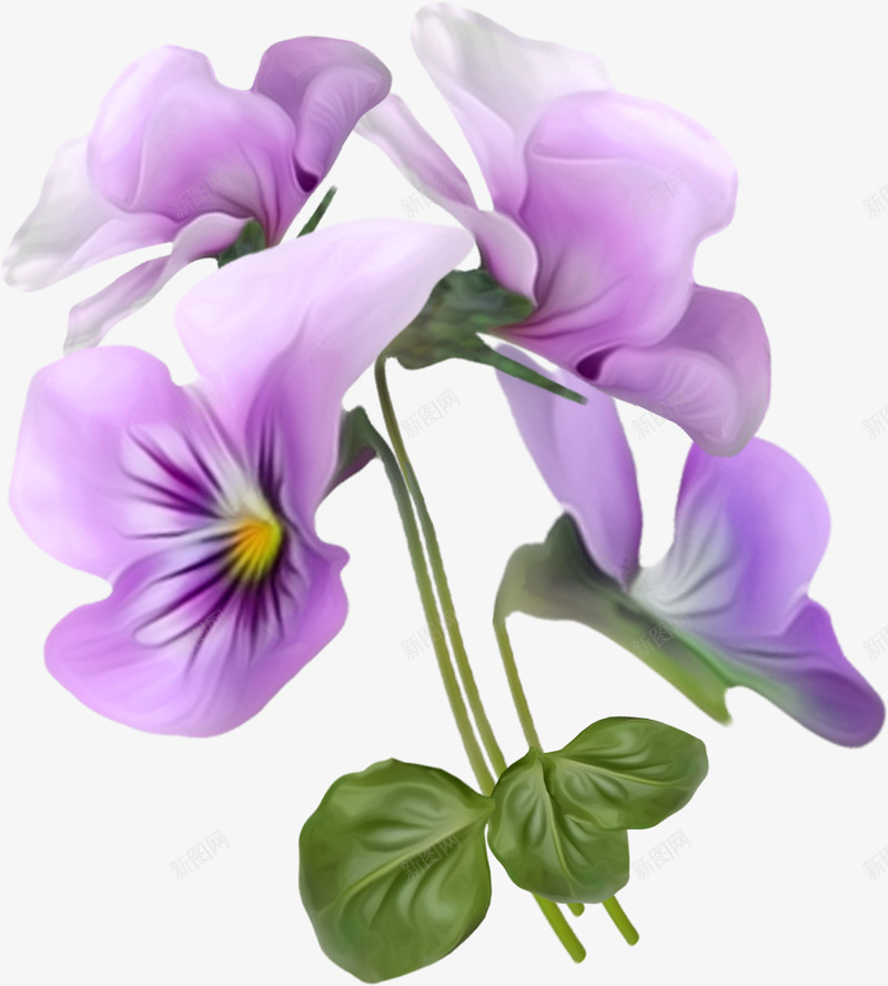 漂亮花束png免抠素材_88icon https://88icon.com 叶子 紫色花束 绿叶 花朵 花枝 花瓣 鲜花