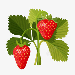 卡通水果补充维生素营养草莓素材