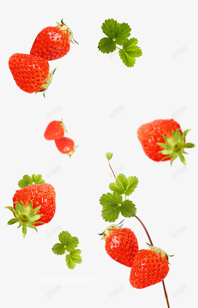大草莓小草莓png免抠素材_88icon https://88icon.com 水果 红色的水果 红色的草莓 草莓