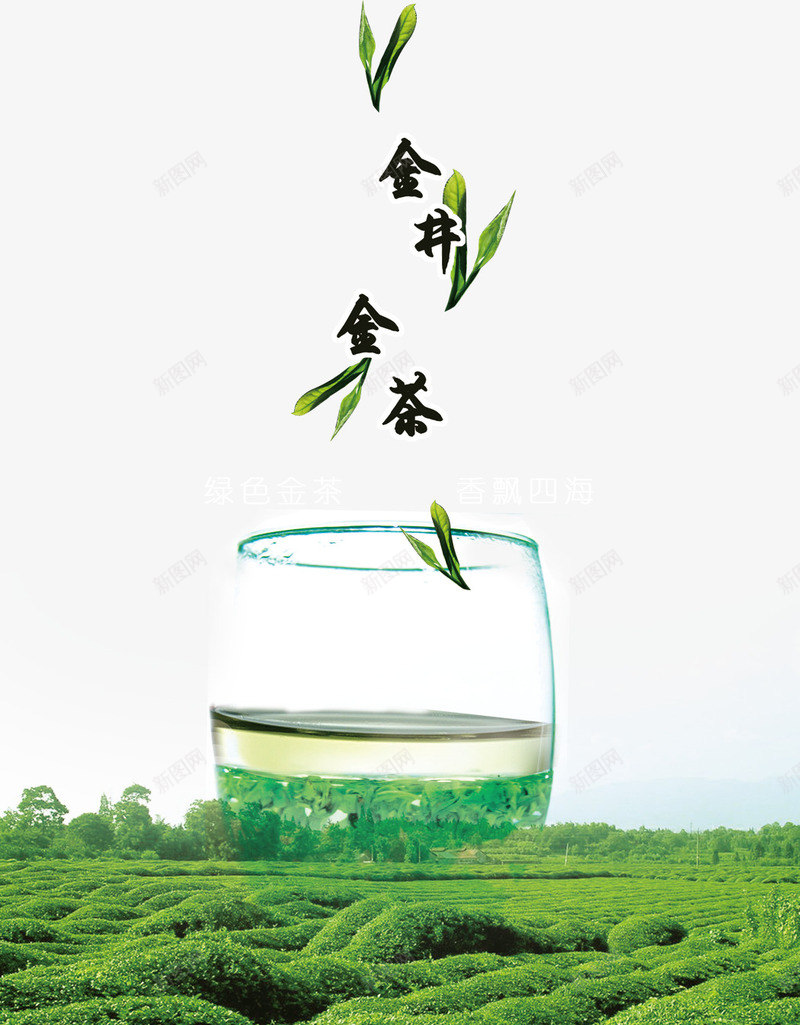 绿茶茶叶背景psd免抠素材_88icon https://88icon.com 素材背景 绿茶 茶业 茶业海报 茶叶
