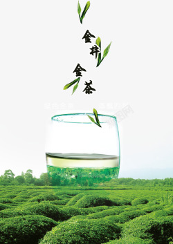 绿茶茶叶背景素材