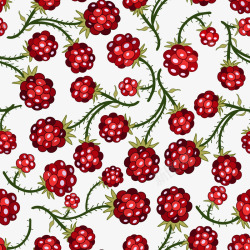 野草莓面料图案矢量图素材