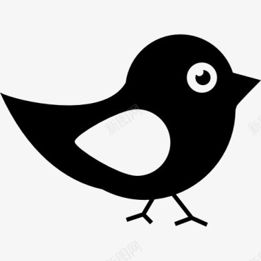 黑色和白色羽毛的鸟图标图标
