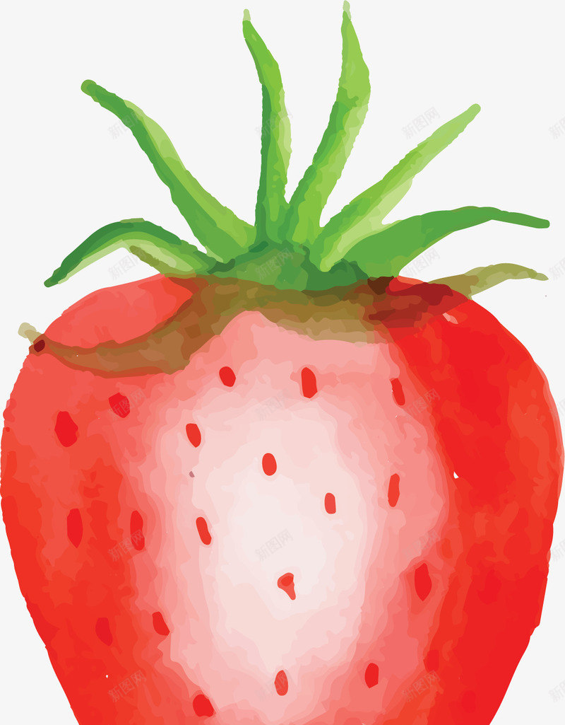 粉红色水彩手绘草莓png免抠素材_88icon https://88icon.com 一颗草莓 手绘草莓 水彩草莓 矢量png 粉红色 草莓