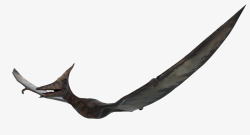 3D恐龙动物飞翔中的翼龙高清图片