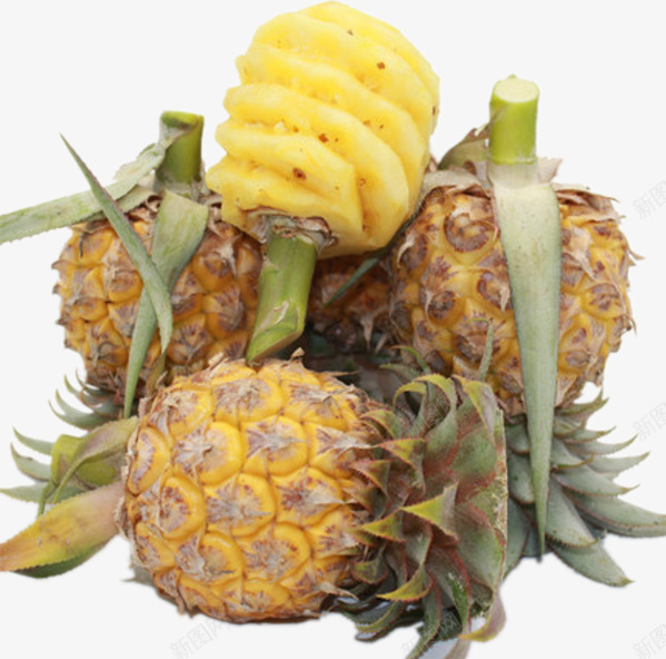 一堆菠萝png免抠素材_88icon https://88icon.com 产品实物 凤梨 新鲜 水果 生鲜 菠萝 食物