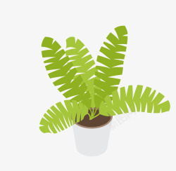 绿色的卡通盆栽植物矢量图素材