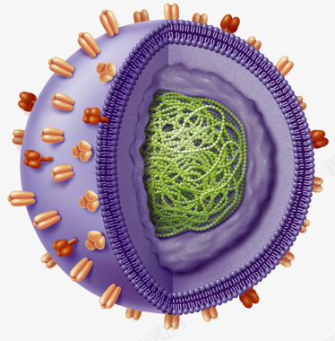 病毒微生物图片人体病毒入侵图标图标
