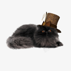 戴帽子的猫咪素材
