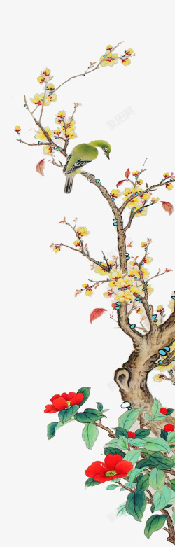 树枝上的梅花和小鸟素材