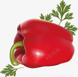 精美蔬菜红辣椒素材
