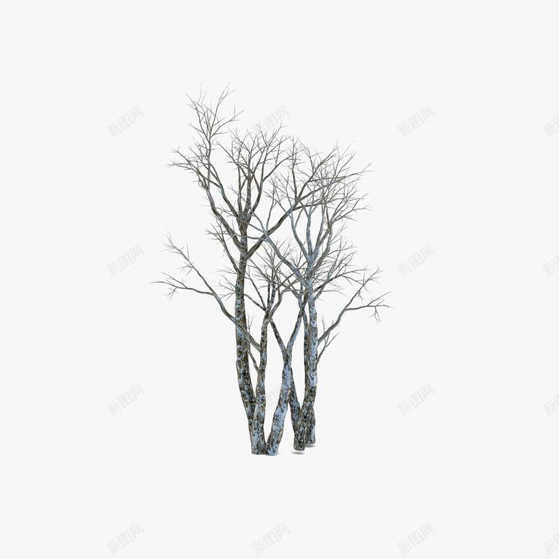 光秃秃的白桦树png免抠素材_88icon https://88icon.com 光秃秃的白桦树 手绘枯树枝 手绘立面干枯树 沾满落雪的树