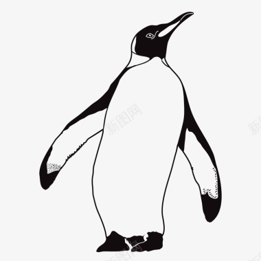 大企鹅手绘南极企鹅元素矢量图图标图标