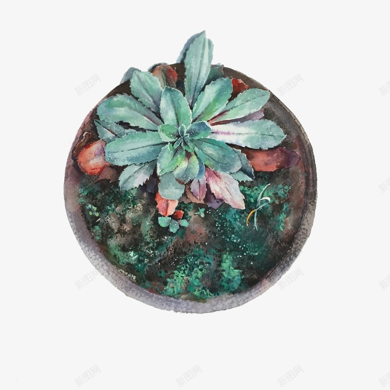 苔藓盆栽png免抠素材_88icon https://88icon.com 小草 清新 盆栽 苔藓