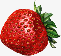 红色手绘新鲜草莓水果素材