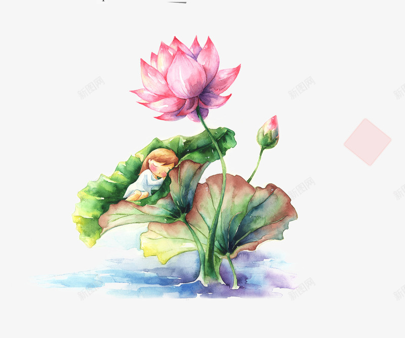 水彩荷花psd免抠素材_88icon https://88icon.com 家居 幸福 情人节 梦幻 水彩 浪漫 花卉