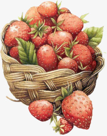 一筐新鲜的草莓素材