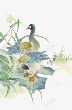 中国风书画水墨鸭子国画图高清图片