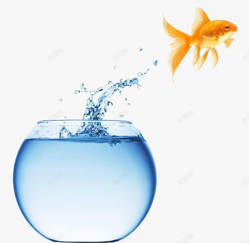 跳跃鱼儿png免抠素材_88icon https://88icon.com 水缸 水花 白色水缸 跳到大鱼缸 金鱼 鱼缸