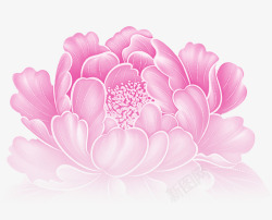 粉色清新牡丹花装饰图案素材