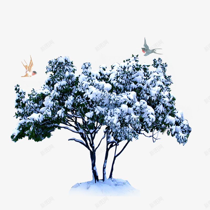 冬季里的树木psd免抠素材_88icon https://88icon.com 免抠树 冬季 小鸟 里的树木 雪花装饰 飞翔的鸟