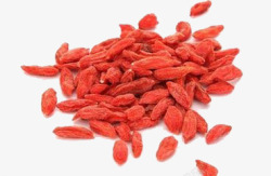 红色新鲜枸杞药材素材