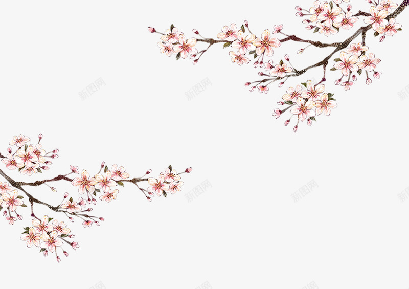 樱花大图psd免抠素材_88icon https://88icon.com 300像素图 PS图免抠 大图免抠 桃花 樱花 高清免抠 鲜花