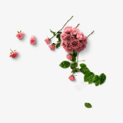 情人节粉色玫瑰装饰素材
