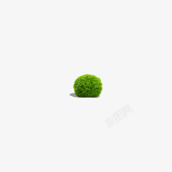 球状绿色植物素材