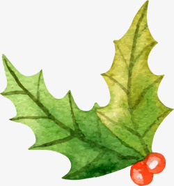 卡通圣诞节绿色树叶浆果素材