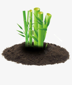 黑色土壤绿色竹子素材