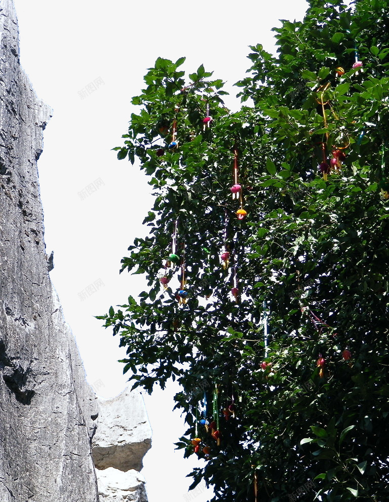 悬崖旁边的许愿树png免抠素材_88icon https://88icon.com 悬崖 挂饰 礼物 许愿树
