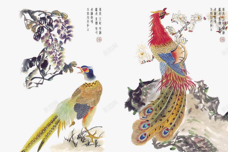 中国风花鸟png免抠素材_88icon https://88icon.com 中国画花鸟 中国风 中国风花鸟素材 国画 孔雀 花 花鸟 鸟