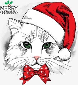 圣诞节贺卡装饰猫咪素材