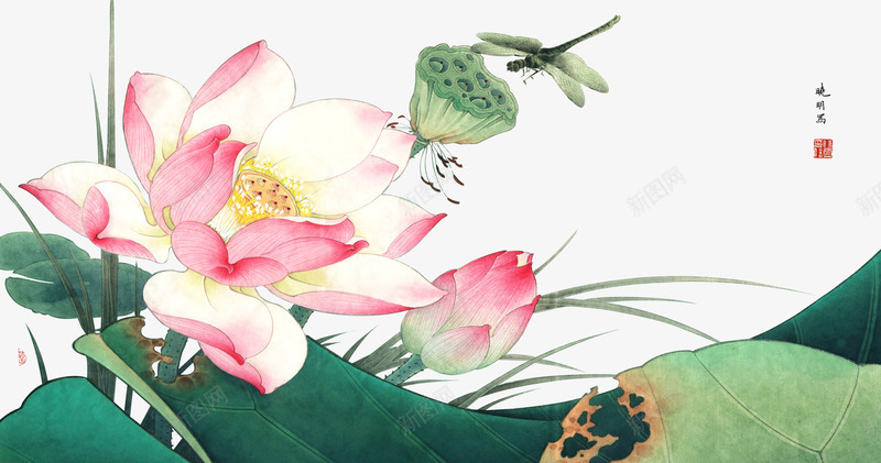 典雅荷花工笔画png免抠素材_88icon https://88icon.com 中国风电视背景墙 竹子荷花荷叶满池塘 荷叶 荷花 荷花工笔画 荷韵 莲花 蜻蜓
