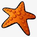 海星在海滩上png免抠素材_88icon https://88icon.com starfish 海星